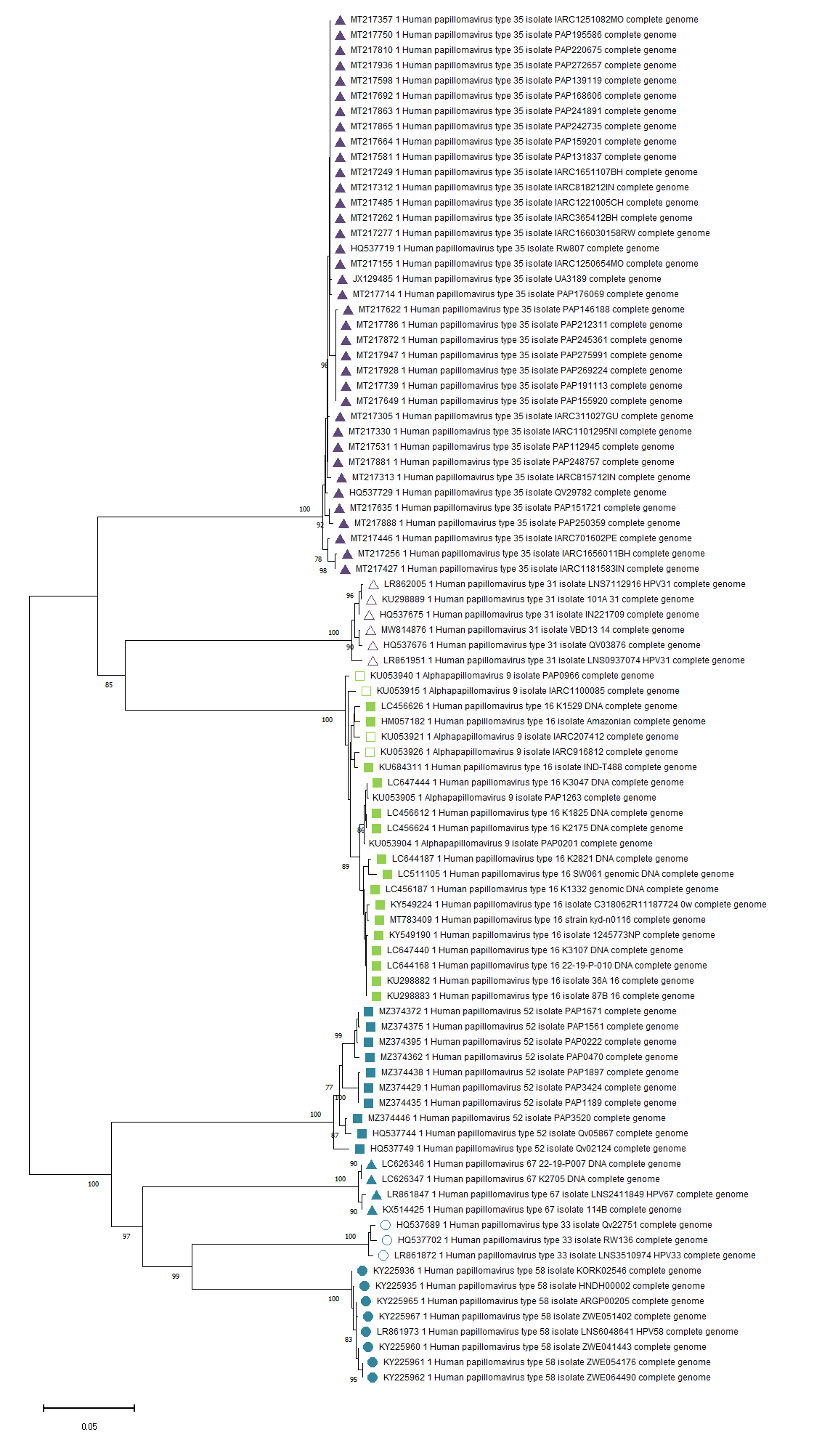 Phylogenetic Tree