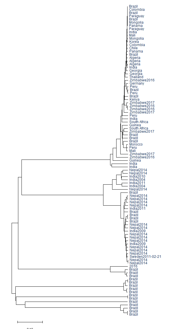 Phylogenetic Tree Country